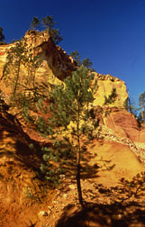 Ochre quarries in Roussillon